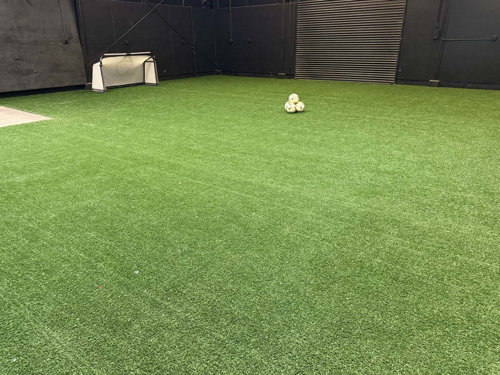 The green-turf training room at RR Indoor Complex