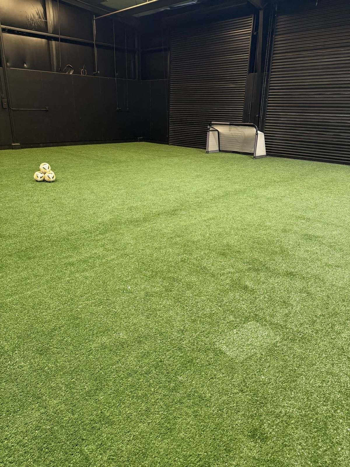 The green-turf training room at RR Indoor Complex, bookable by the hour